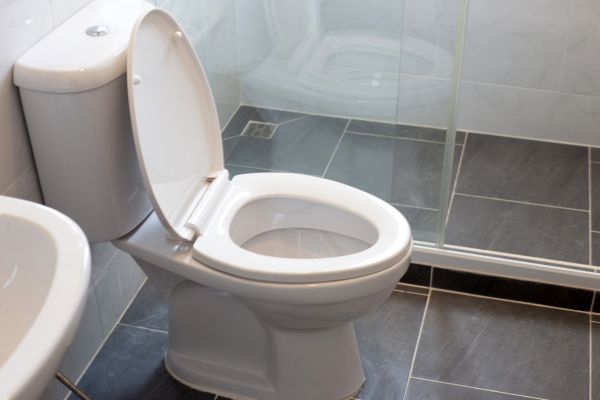 Toilet Replacement in Lincoln