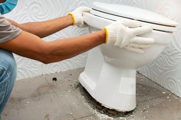 Cost of Toilet Removal in Lincoln
